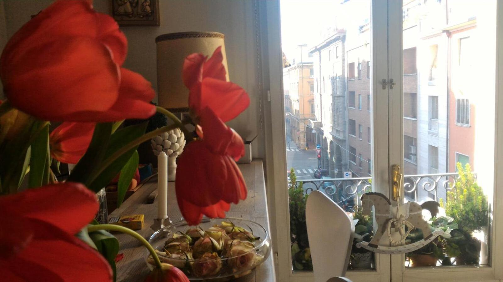 La Finestra Apartment Bologna Exterior photo